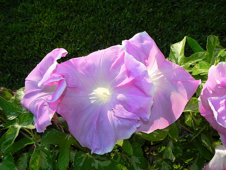 DSCN9605