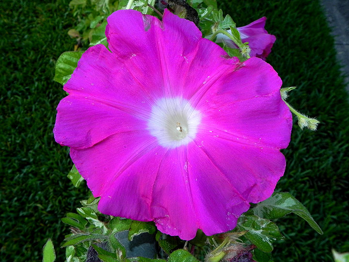 DSCN9614