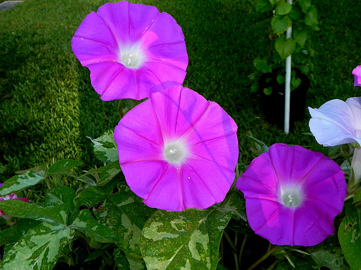 DSCN9625