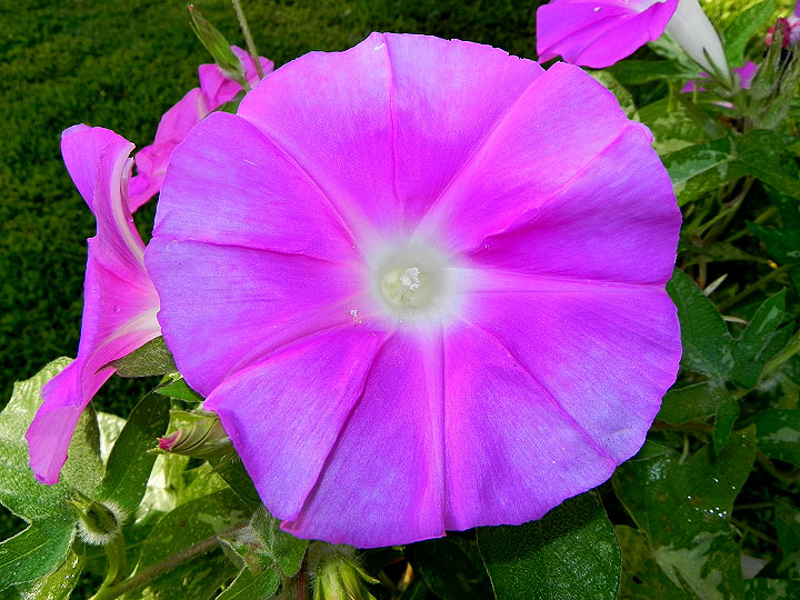 DSCN9659