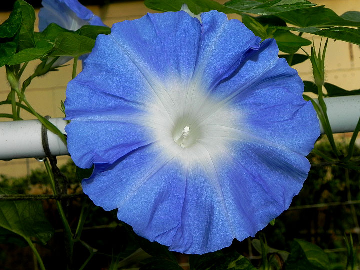 DSCN9699