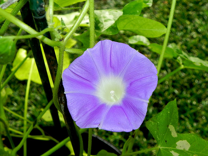 DSCN9704