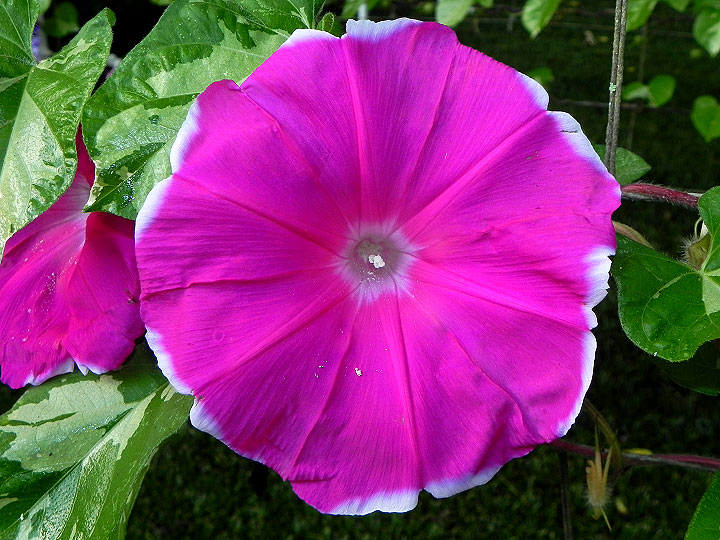 DSCN9713