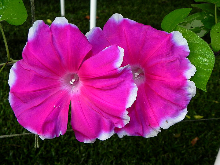 DSCN9714