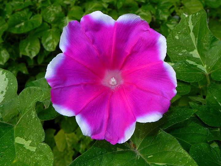 DSCN9716