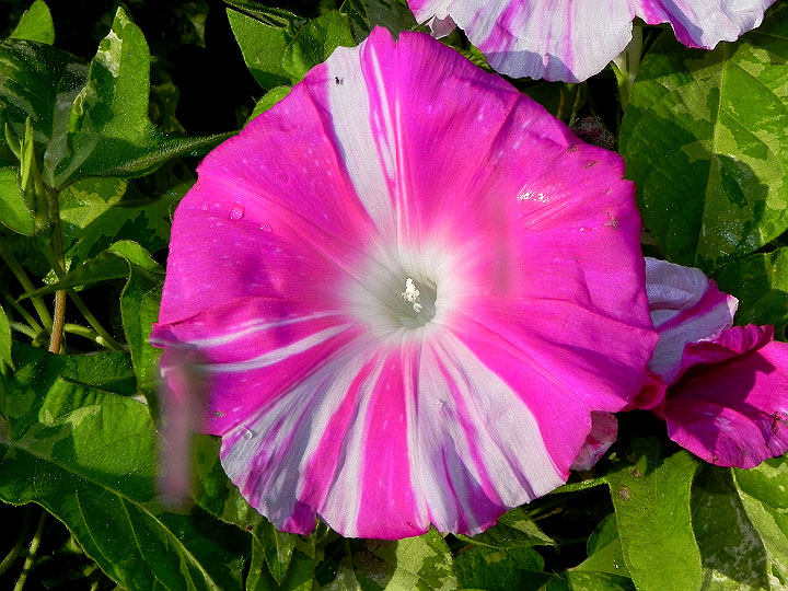 DSCN9734