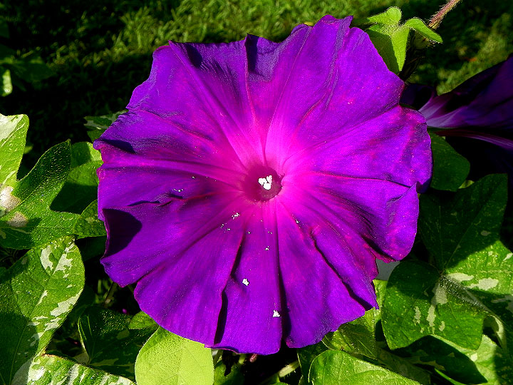DSCN9754