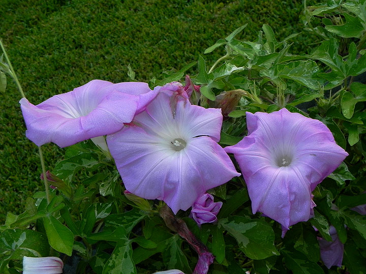 DSCN9815