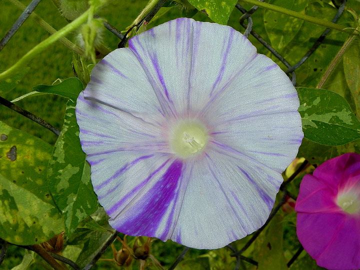DSCN9840
