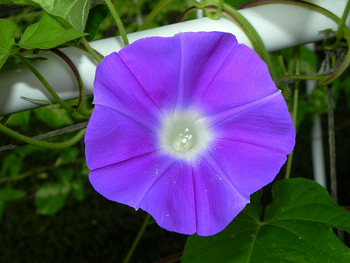 DSCN9875