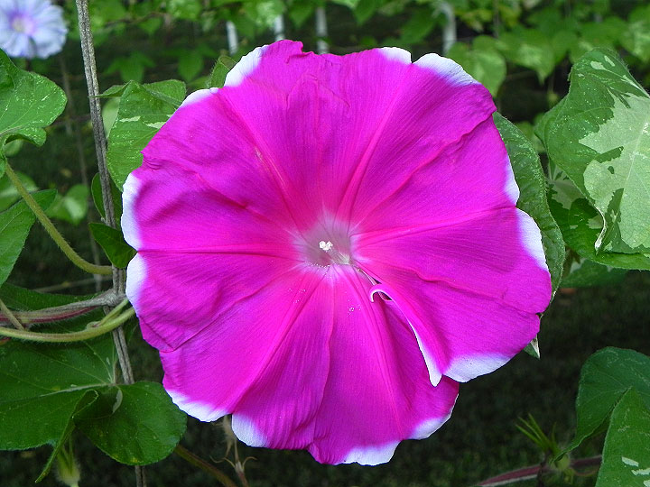 DSCN9881