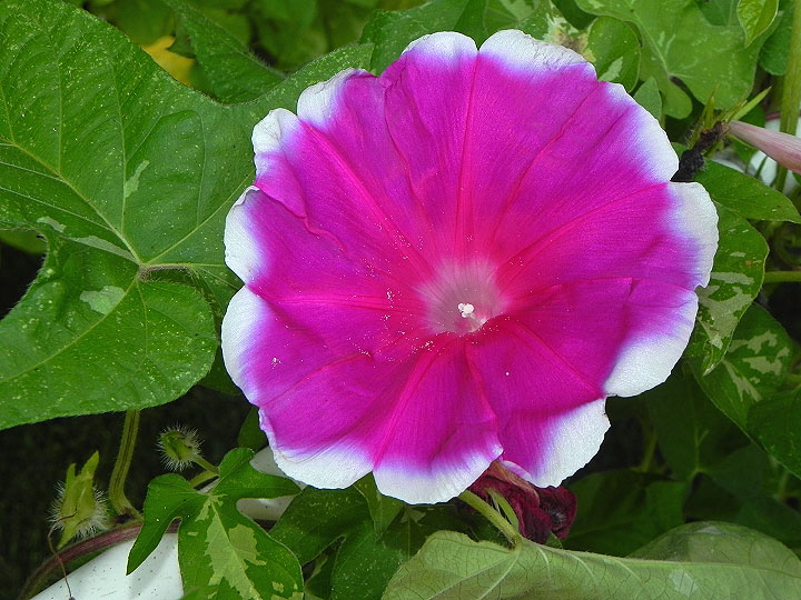 DSCN9883