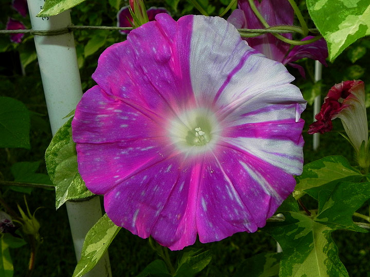 DSCN9922