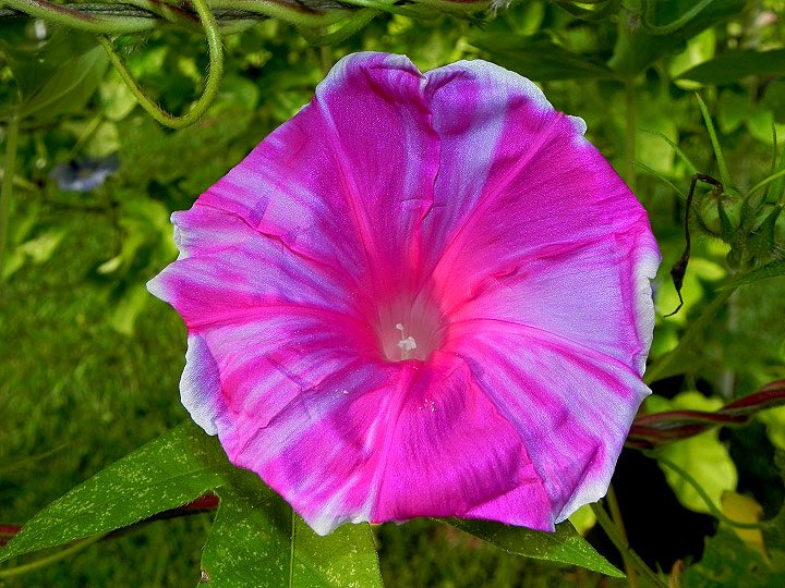 DSCN9952