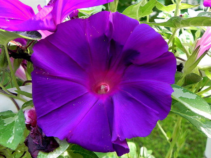 DSCN9966