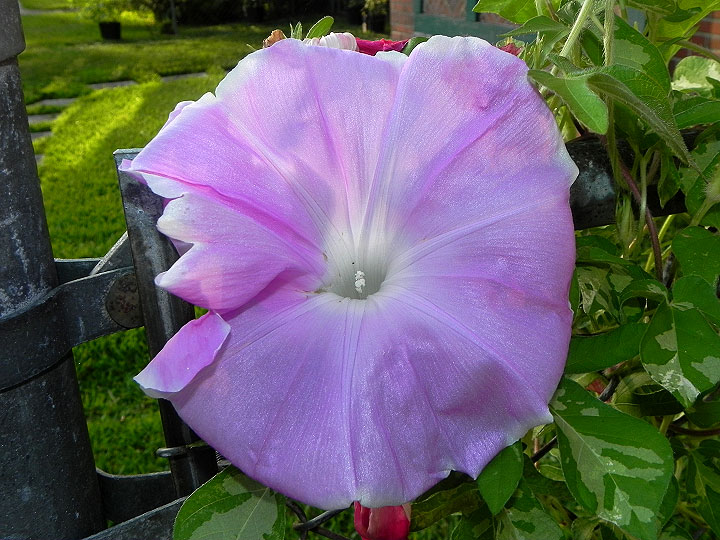 DSCN9973