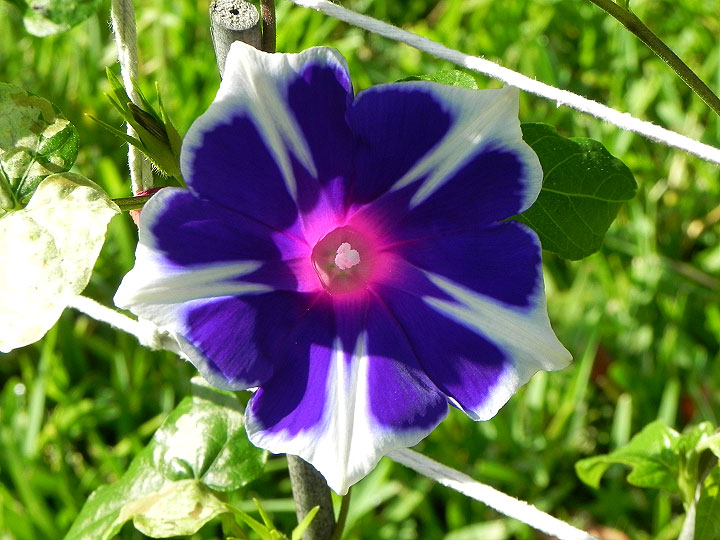 DSCN4094