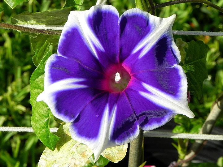 DSCN4126