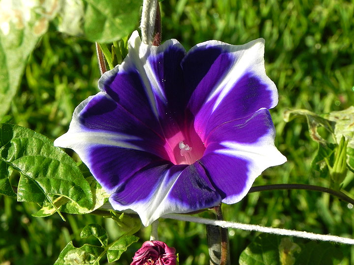 DSCN4169_01