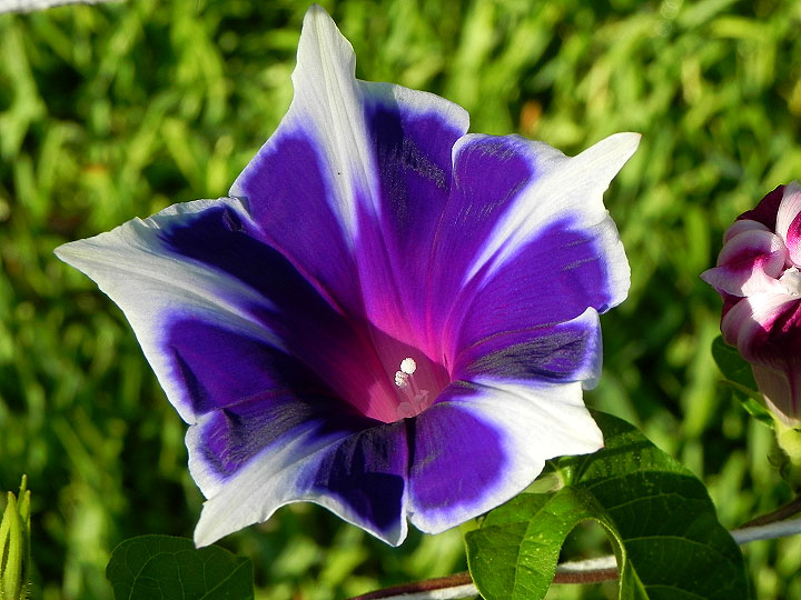 DSCN4349_01