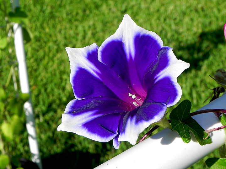 DSCN4614
