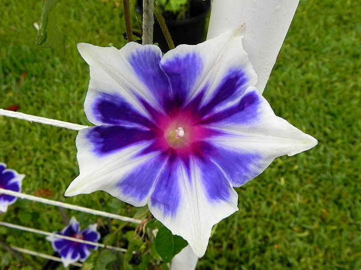 DSCN4821