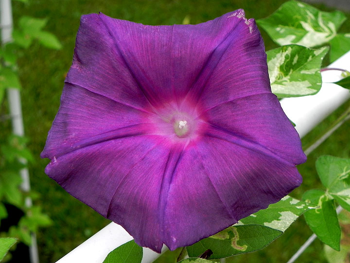 DSCN4831