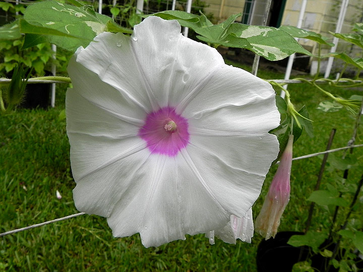 DSCN4842