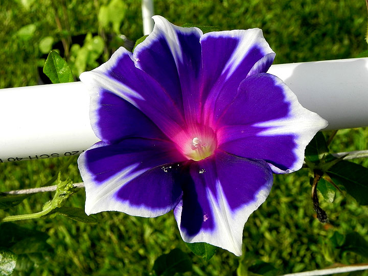 DSCN4856