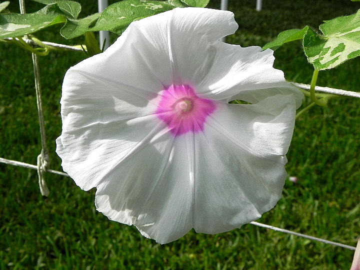 DSCN4877