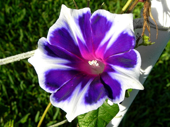 DSCN4896