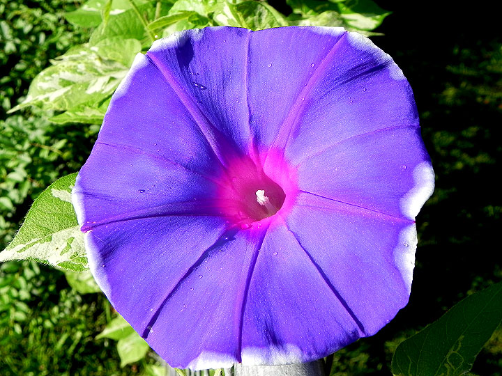 DSCN4903