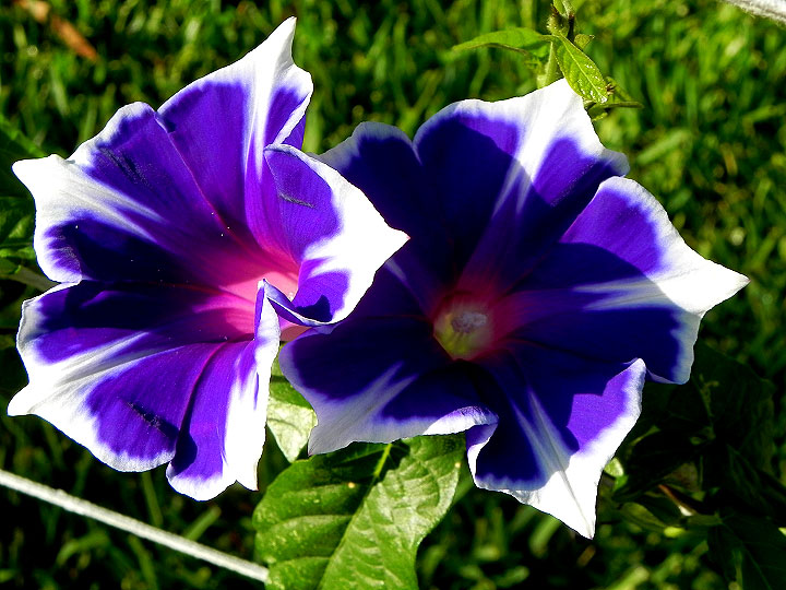 DSCN4936_01