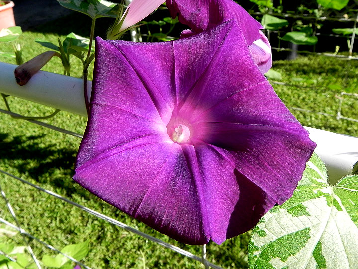 DSCN4966_01