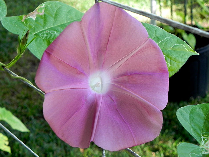 DSCN4982_01