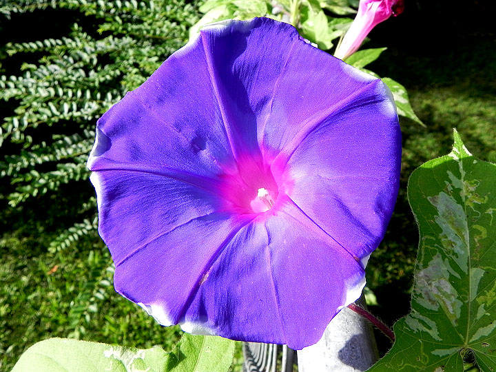 DSCN5031_01