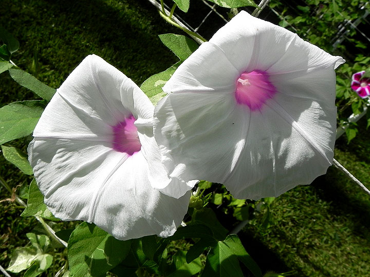 DSCN5049_01