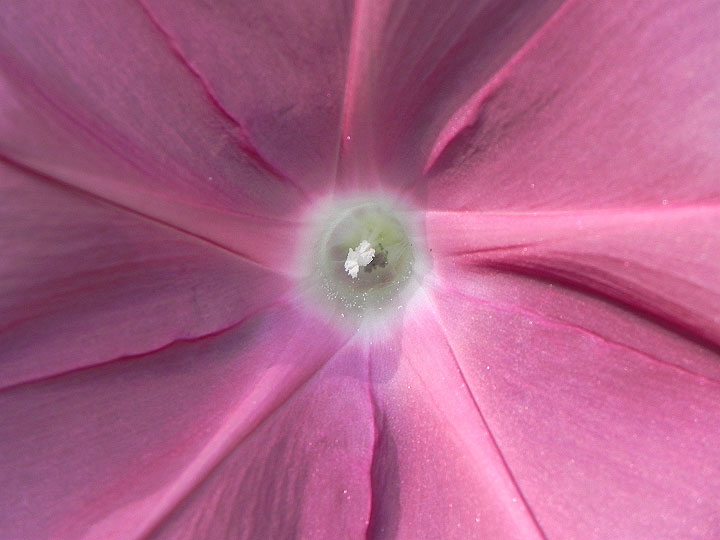 DSCN5056