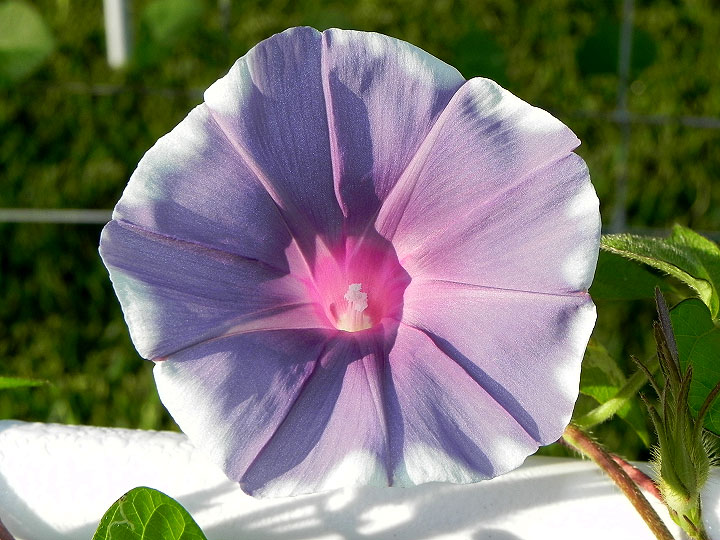 DSCN5078