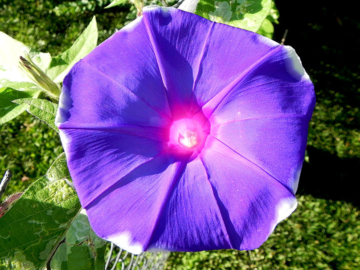 DSCN5091