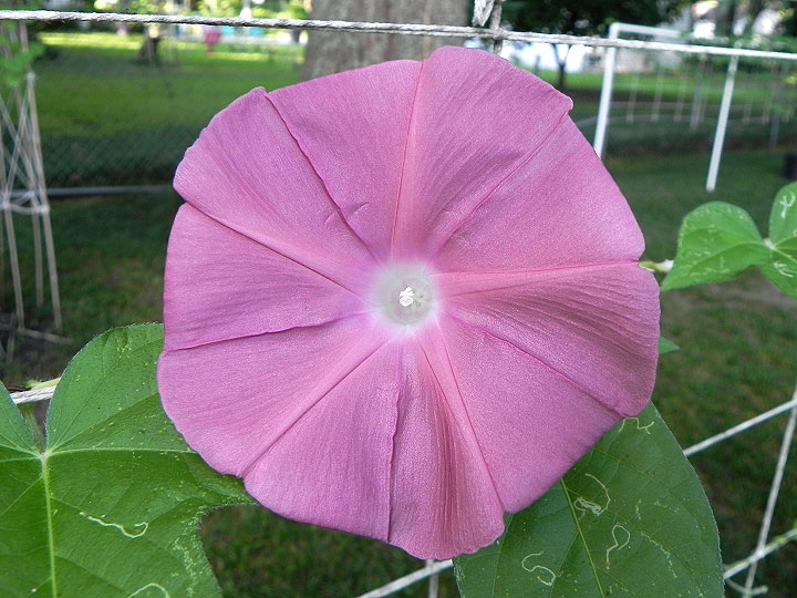 DSCN5118_02