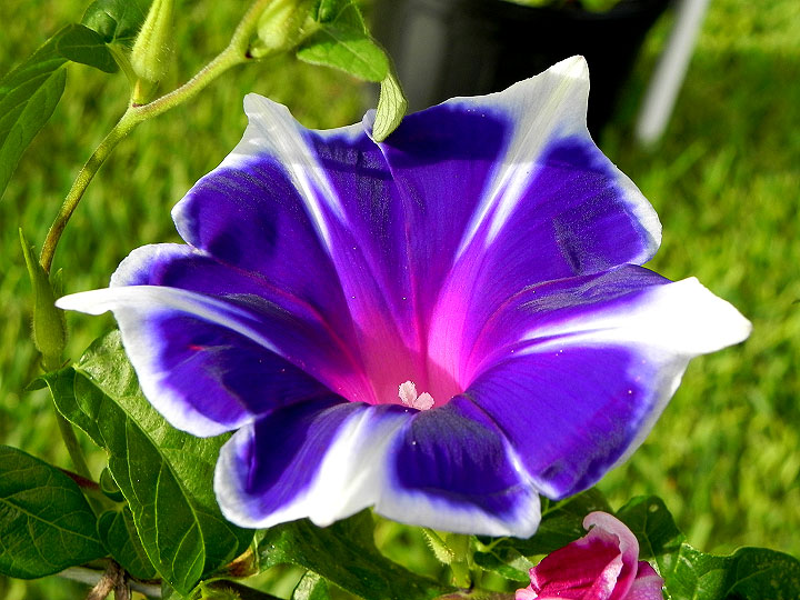 DSCN5139