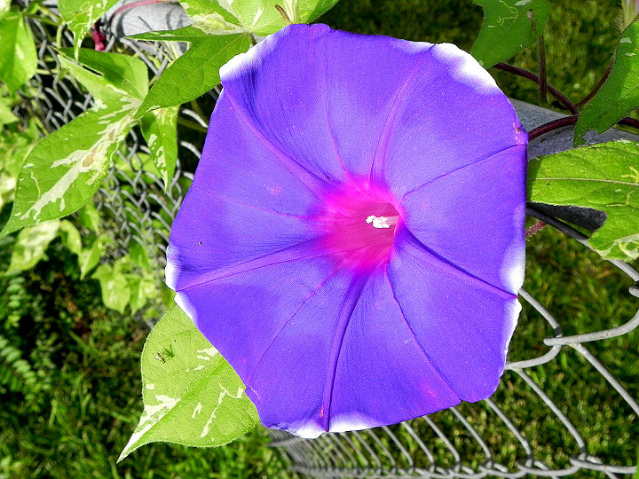 DSCN5144