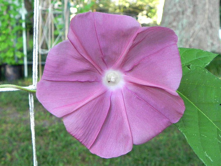 DSCN5179_01
