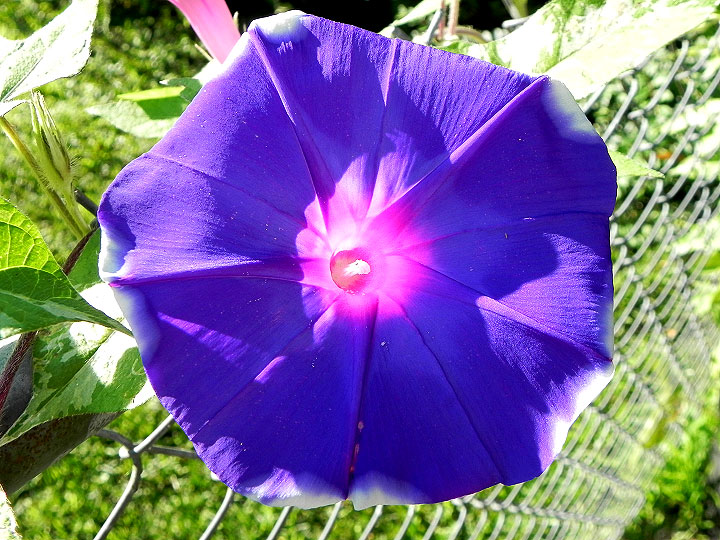 DSCN5221