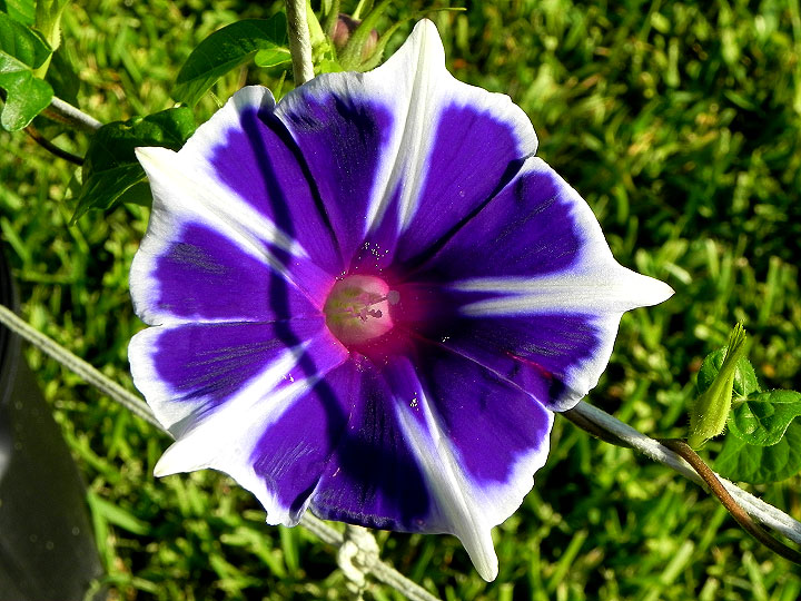 DSCN5234