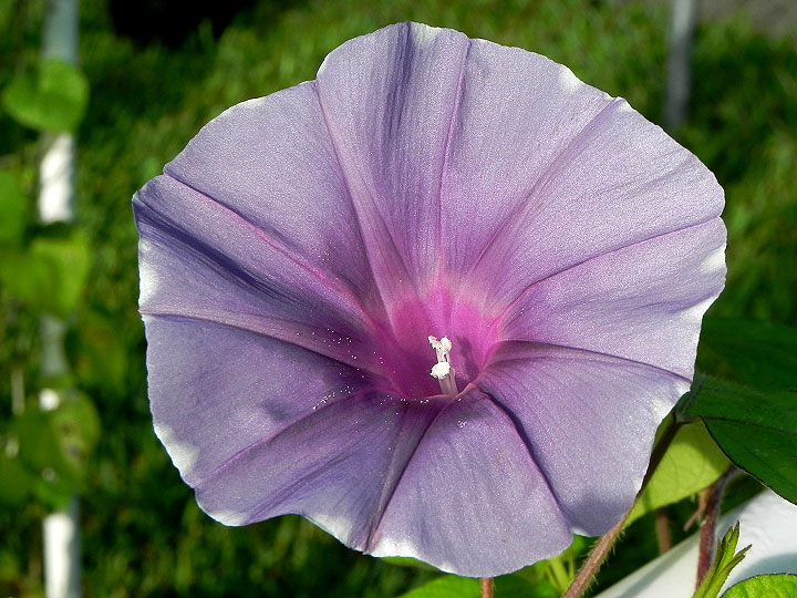 DSCN5290_01