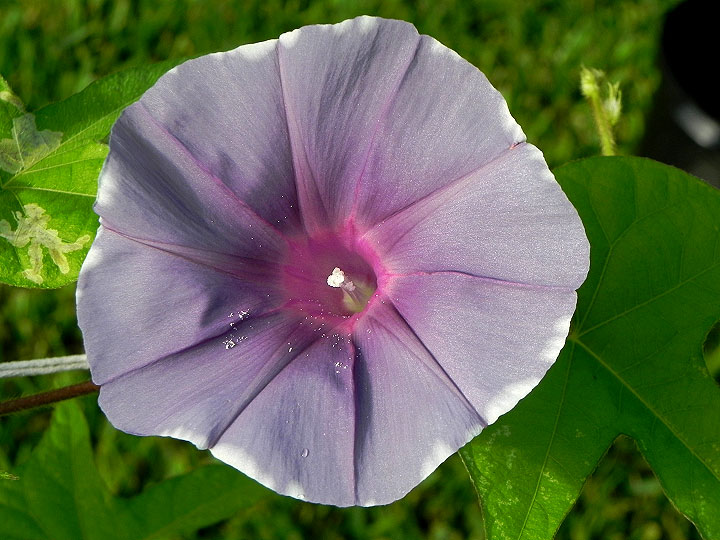 DSCN5291_01