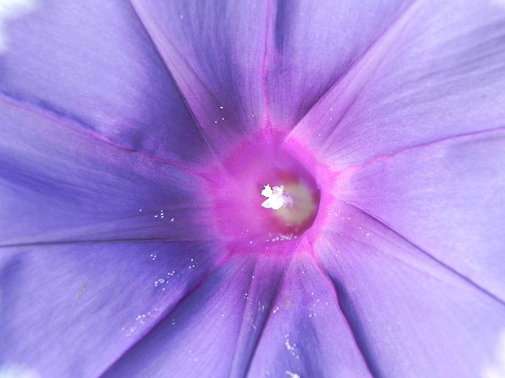 DSCN5292_01