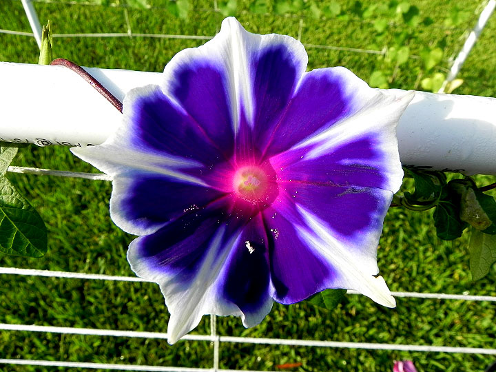 DSCN5301_01